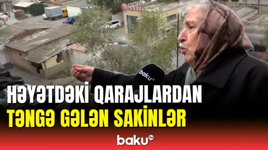 Yasamalda bina sakinləri həyətdəki tikililərdən narazıdır