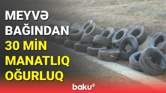 Qusarda görünməmiş oğurluq hadisəsi | Saxlanılanlar var