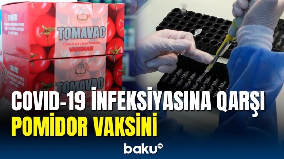 COVID-19 infeksiyasını pomidorla müalicə etmək mümkün olacaq