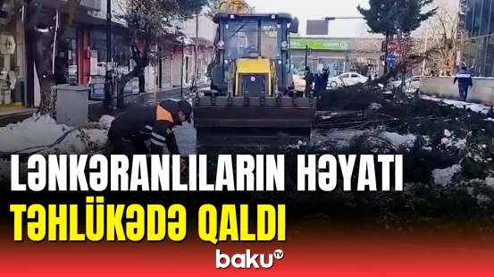 FHN Lənkəranda qarın fəsadlarına görə hərəkətə keçdi