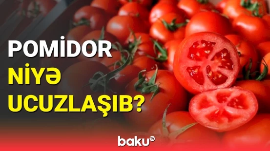 Azərbaycanda pomidor ucuzlaşdı | İqtisadçı səbəbləri açıqladı