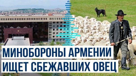 От армянского пастуха сбежали овцы. Ереван обвиняет Азербайджан