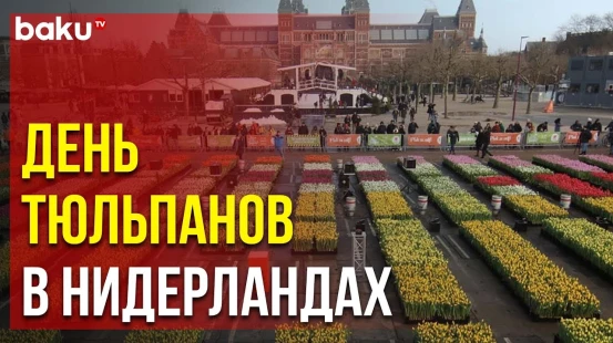 В Амстердаме в третью субботу января прошёл Национальный День Тюльпанов