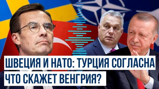 Парламент Турции одобрил заявку Швеции в НАТО