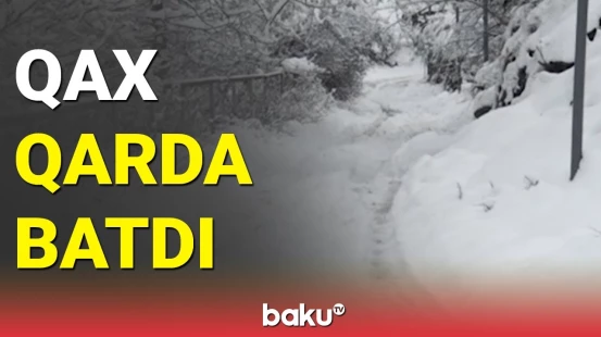 Sarıbaşa güclü qar yağdı | Yollar bağlandı