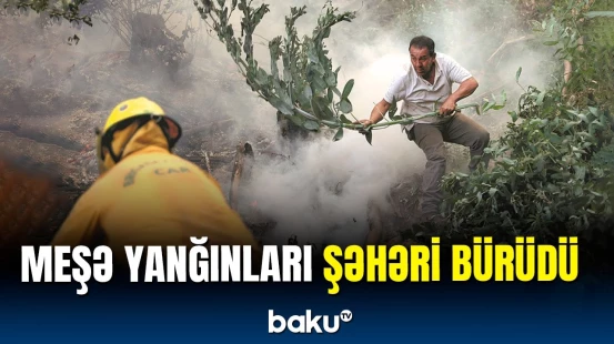 Yanğınsöndürənlər hərəkətə keçdi | Kolumbiyada meşə yanğınları başladı