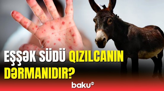 Uzunqulaq südü qızılcaya necə təsir edir?