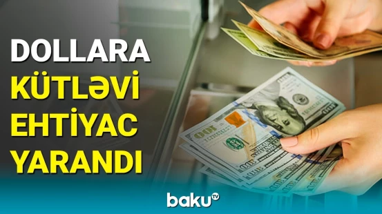 Dollara tələbatın artma səbəbi | İqtisadçı açıqladı