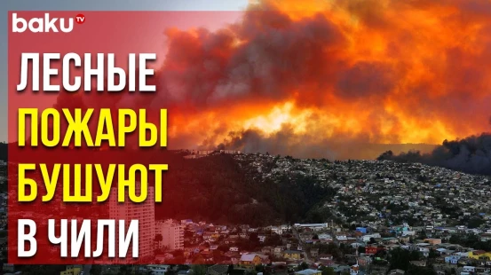 В Чили страшные пожары уничтожили гектары реликтовых лесов