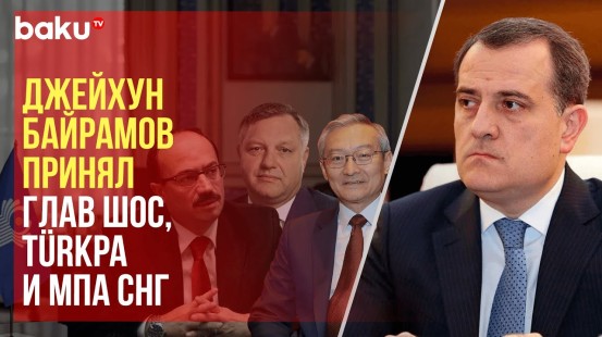 Джейхун Байрамов принял иностранных наблюдателей в связи с внеочередными президентскими выборами