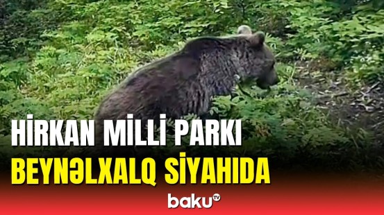 Hirkan Milli Parkı UNESCO-nun təbii irs siyahısında