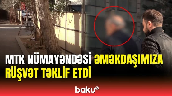 Tikinti şirkəti ağacların dibini betonladı | Nümayəndə rüşvət təklif etdi