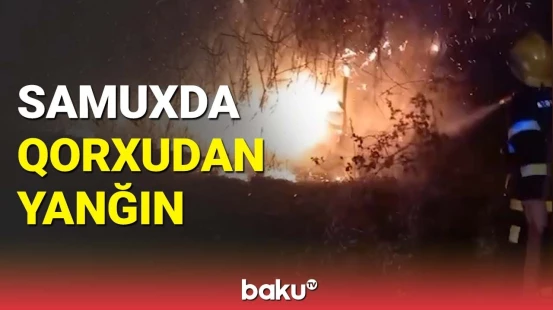 Samuxda 6 ha sahədə yanğın | FHN təcili hadisə yerinə getdi