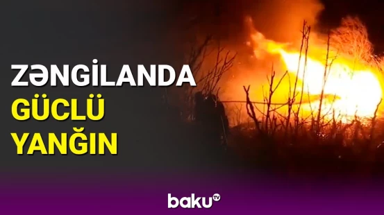 Zəngilanda yanğın baş verdi | FHN iş başında