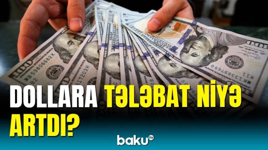Dollara kütləvi ehtiyac yarandı | Mərkəzi Bankdan açıqlama