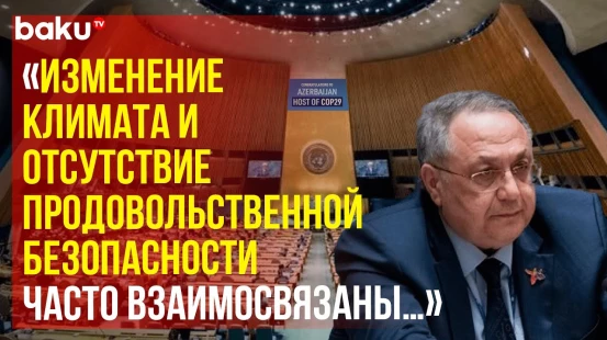 Яшар Алиев выступил на открытых дебатах СБ ООН