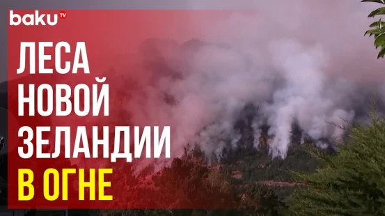 В Новой Зеландии из-за лесных пожаров пришлось эвакуировать более 100 человек