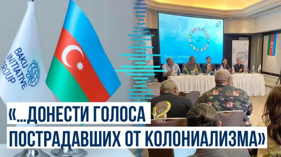 В Стамбуле стартовала международная конференция, организованная Бакинской инициативной группой