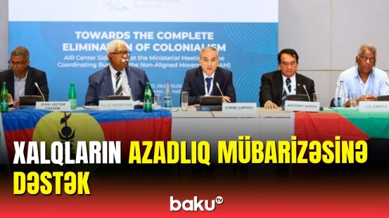 Bakı Təşəbbüs Qrupunun gördüyü işlər barədə videoçarx