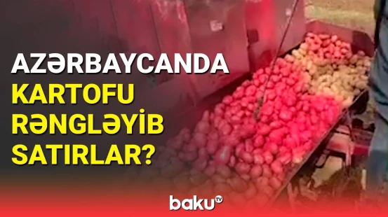 Kartofa dərman niyə vurulur? - AQTA-dan açıqlama
