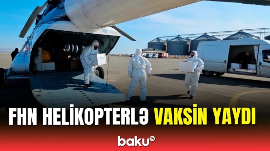 Helikopterlərlə vəhşi heyvanların quduzluğa qarşı peyvəndlənməsi aparıldı