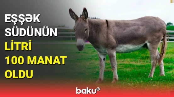 Qızılca üçün türkəçarə üsullar | Eşşək südü faydalıdır?