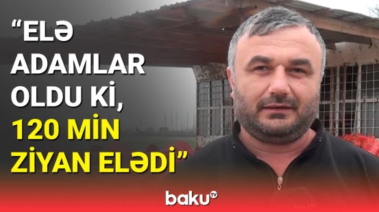 Ağdamda tonlarla soğan anbarlarda məhv olur | Satıcılardan şikayət