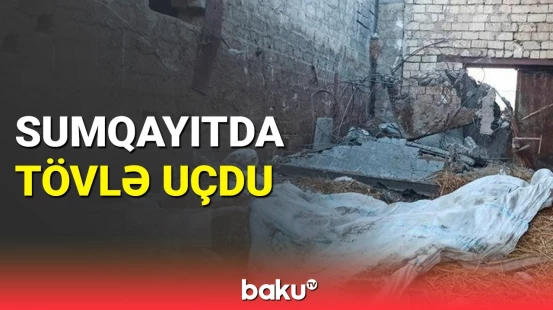 Tövlə uçdu | Heyvanlar dağıntı altında qaldı