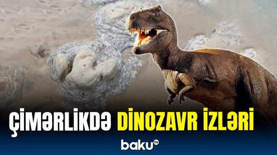 Böyük Britaniyada dinozavr izlərinə rast gəlinib