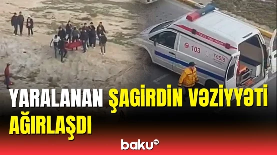 Xəstəxanadan itlərin hücum etdiyi şagirdlə bağlı açıqlama