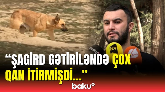 İtlərin hücum etdiyi şagirdin son vəziyyəti | Cərrah açıqladı