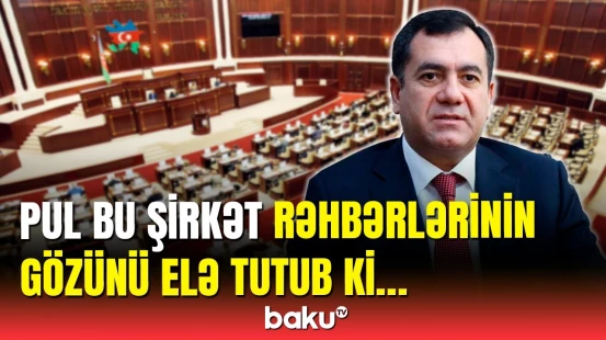 “Heç bir dövlət orqanı onları dayandırmaq gücündə deyil” | Millət vəkili