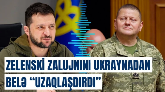 Ukraynalı deputat Zelenskinin Zalujnı ilə bağlı planından danışdı