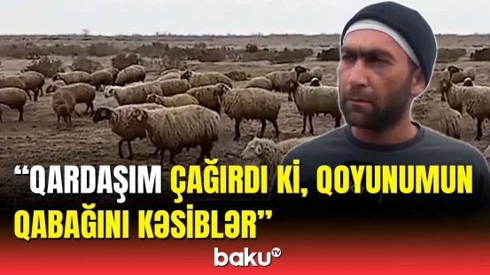 Atamın başına ağacla vurdular | Qohumlar kütləvi davaya girdi