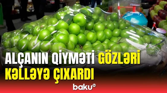 Qızıl qiymətinə satılan meyvələr | Bahaçılığın səbəbi nədir?