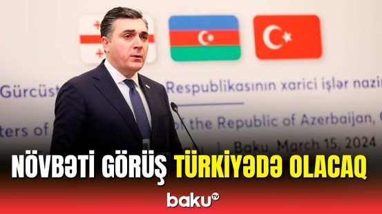 Gürcüstan XİN Bakı-Tbilisi-Qars dəmir yolu layihəsi ilə bağlı açıqlama verdi