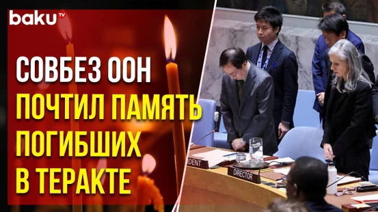 Заседание СовБеза ООН началось с минуты молчания в память о погибших в теракте в Крокусе