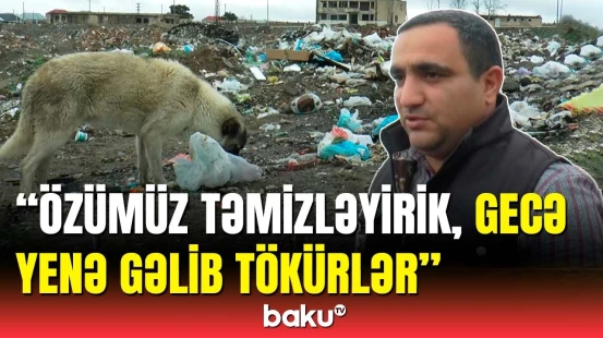 Küçəni zibilləyənlərə qarşı nə tədbir görüləcək? - Gəncədə zibilxanaya çevrilən ərazi