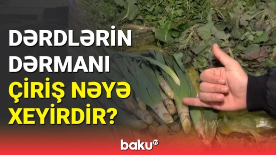 Bazarlarda hansı meyvə-tərəvəzlərə tələbat artıb? | Qiymətlər necədir?