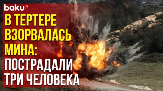 МВД, Генпрокуратуры АР и ANAMA выступили с совместным заявлением