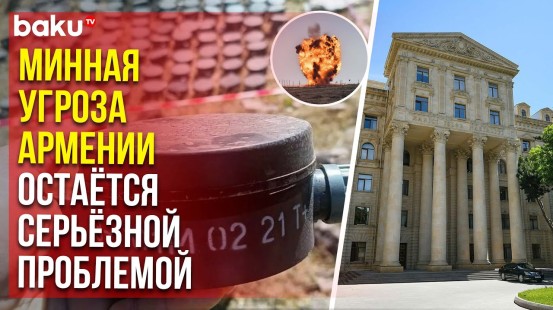 Заявление МИД АР в связи с Международным днём просвещения по вопросам минной опасности