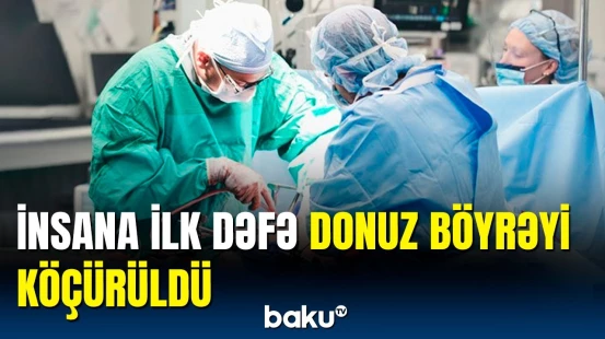 Donuz böyrəyi köçürülən şəxsin son vəziyyəti necədir?