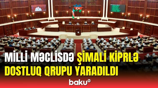 Şimali Kiprlə dostluq qrupunun rəhbəri kim oldu?