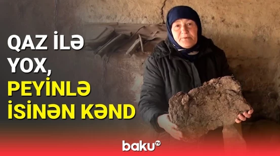 Oğuzda qaz problemi | 70 yaşım var mənim günüm, güzaranım budur