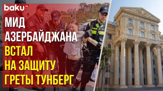 МИД АР выразил обеспокоенность задержанием известной эко-активистки Греты Тунберг в Гааге