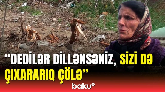 Tərtərdə kütləvi şəkildə meyvə ağaclarını niyə kəsdilər?