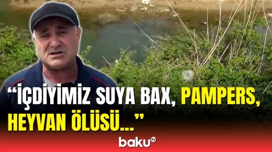 Bu suyu heyvana da verməzlər! - Sakinlərin şikayətinə qurum nə dedi?