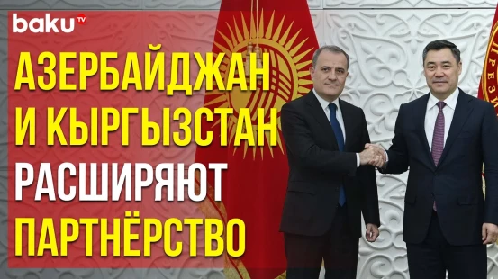 Публикация МИД АР о встрече Джейхуна Байрамова с Садыром Жапаровым