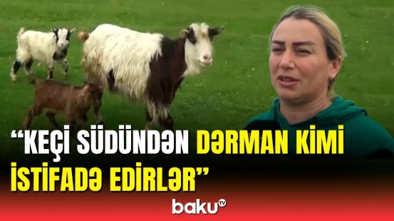 Biləsuvarın ilk qadın fermeri | Hər qadın öz ayağının üstündə durmalıdır