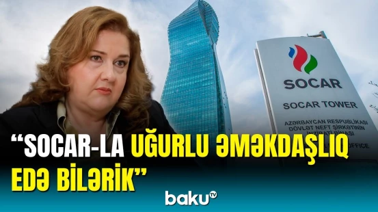 SOCAR Argentinanın enerji sektoruna sərmayə qoya bilər | Argentina səfiri